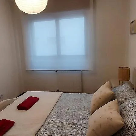 El Piso De San Roque